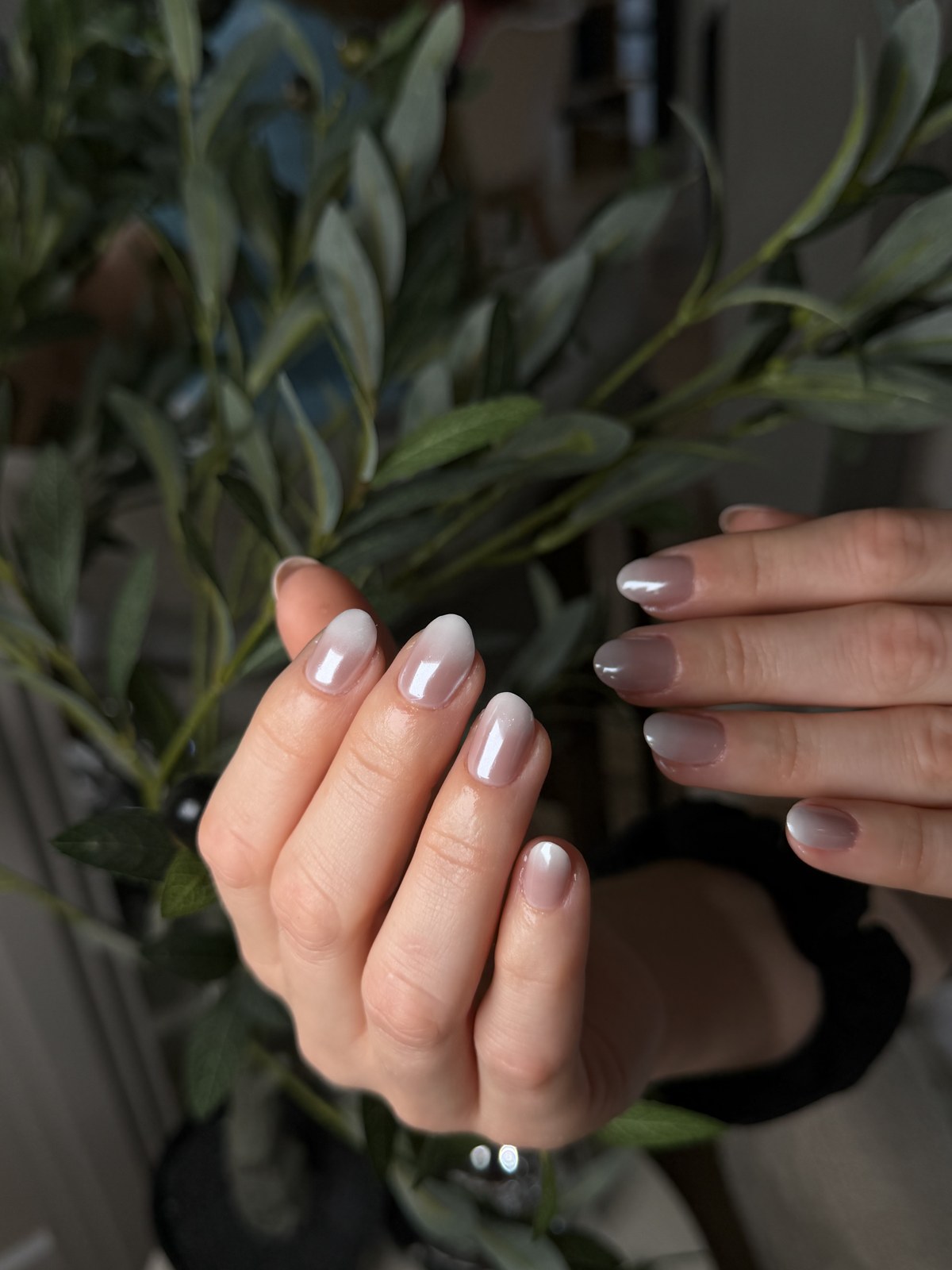 Uñas almendra ombré blanco lechoso